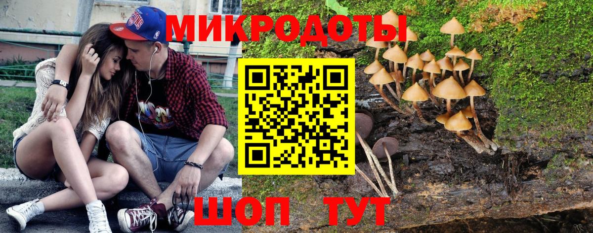 Галлюциногенные грибы Magic Shrooms  Вход с VPN  Карачаевск 