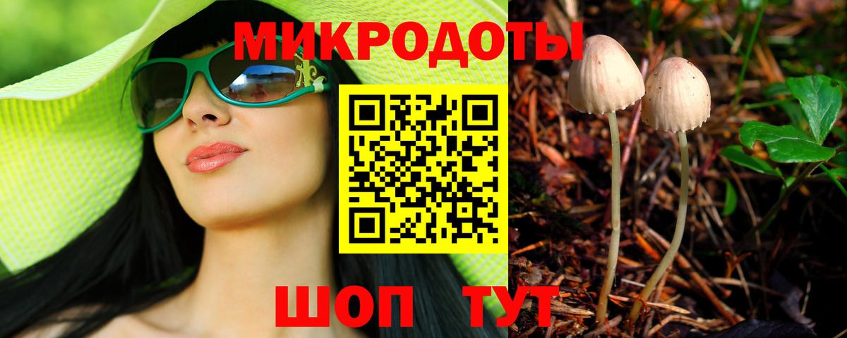 Галлюциногенные грибы мухоморы Карачаевск